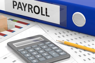 Payroll services for Dental Practices